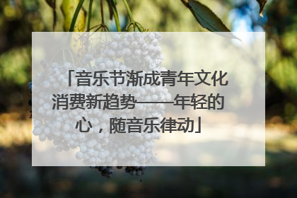 音乐节渐成青年文化消费新趋势——年轻的心，随音乐律动